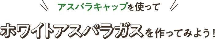 アスパラキャップを使ってホワイトアスパラガスを作ってみよう!