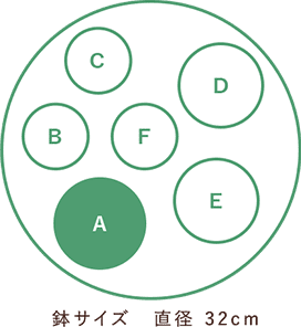 鉢サイズ 直径32cm