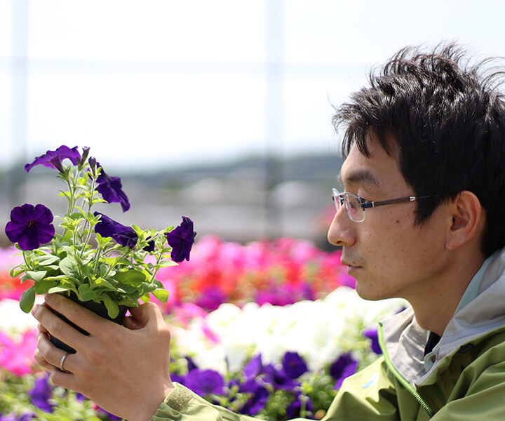 ペチュニア苗の鉢を持つ開発者の写真