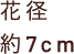花径　約7cm