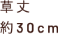 草丈　約30cm