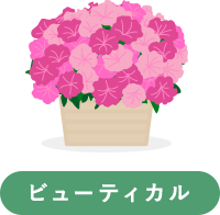 ペチュニア ビューティカル（ユニークカラーが多く、コンパクトにまとまるので鉢植え向き）