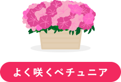 よく咲くペチュニア バカラiQ（定番カラーが多く、横に広がるので花壇向き）