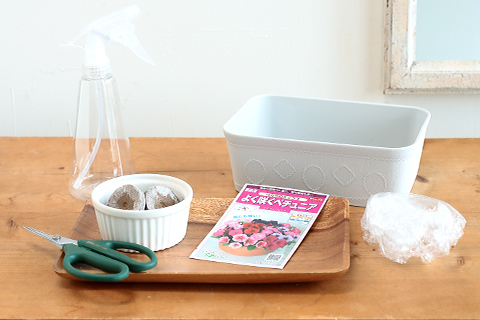 種まきに必要な道具の写真イメージ。ジフィーセブン、受け皿、霧吹き、ビニール袋、ハサミ、よく咲くペチュニア バカラiQの種