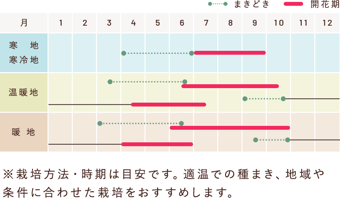 ※栽培方法・時期は目安です。適温での種まき、地域や条件に合わせた栽培をおすすめします。