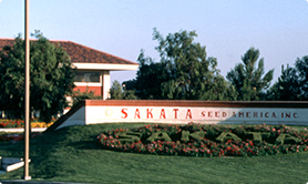 サカタのタネ海外支店と花畑の写真