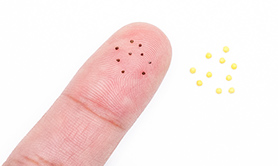 指の上に乗せた非常に小さなペチュニアの種と、ペレット加工されたイメージの写真