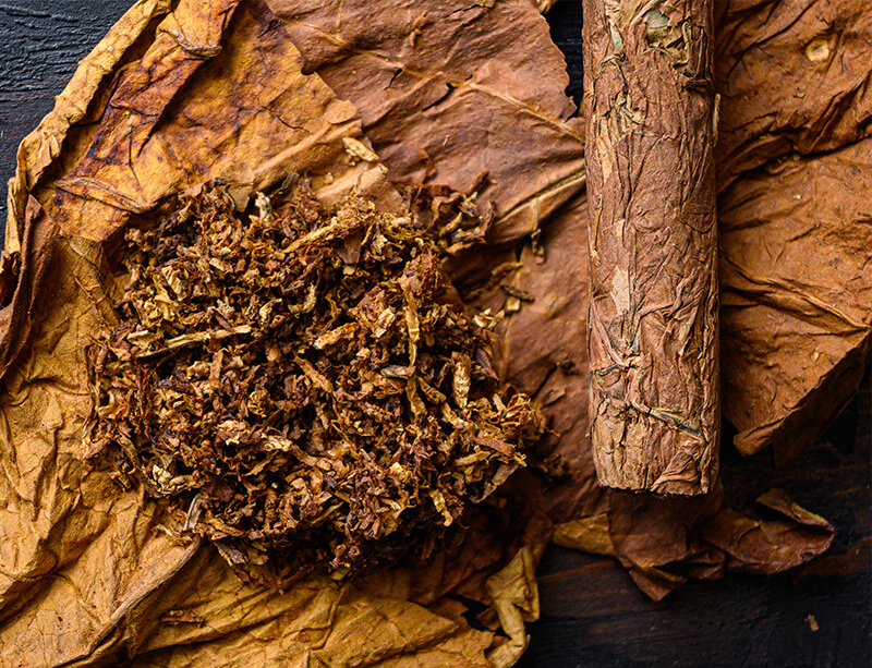 タバコの葉のイメージ写真