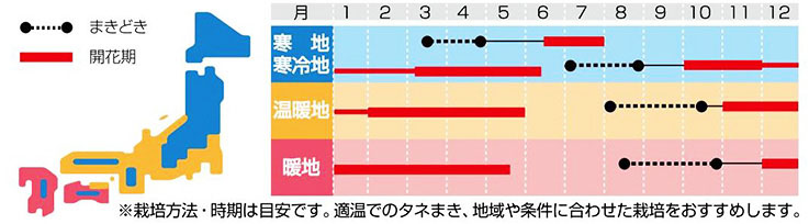 よく咲くスミレ　種まきカレンダー　※栽培方法・時期は目安です。適温でのタネまき、地域や条件に合わせた栽培をおすすめします。