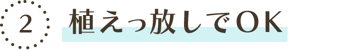 POINT2 植えっ放しでOK