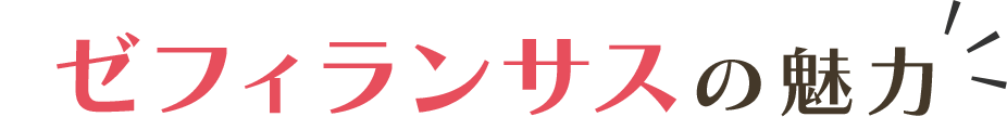 ゼフィランサスの魅力