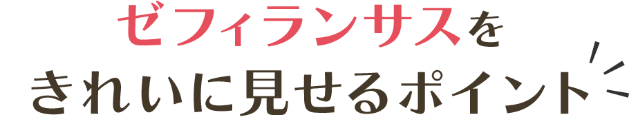 ゼフィランサスをキレイに見せるポイント