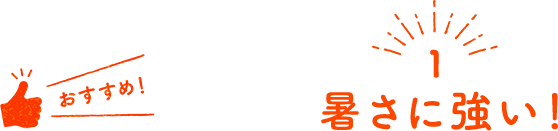 １ 暑さに強い！