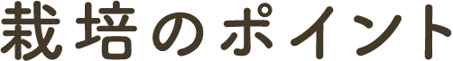 栽培のポイント